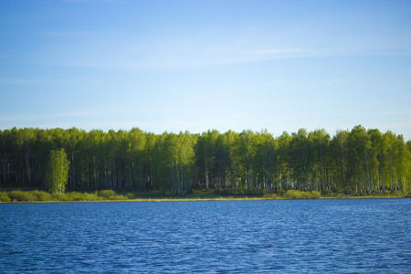 Forest lake under blue cloudy sky. Lake forest clouds.の写真素材