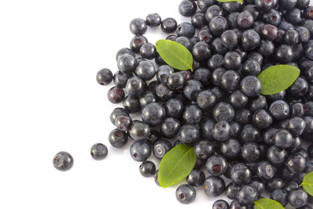 Blueberries with leaves on white backgroundの写真素材