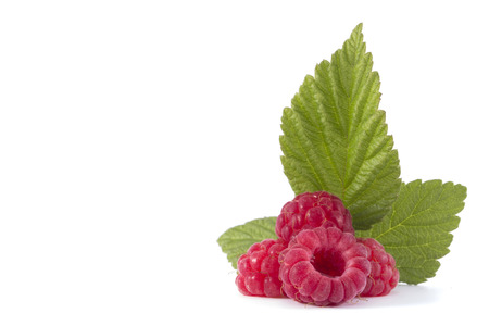 Ripe raspberry with leafの写真素材