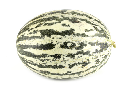 Isolated melon on white backgroundの写真素材
