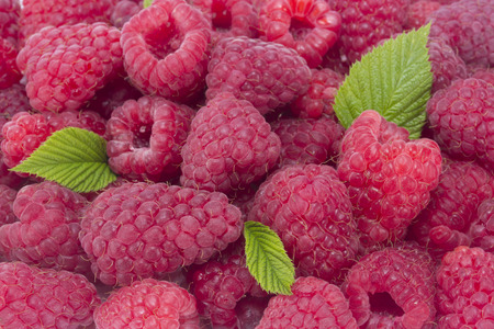Raspberry fruit with leaves batskgroundの写真素材