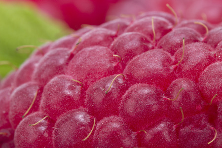 Fresh sweet raspberry close up.の写真素材