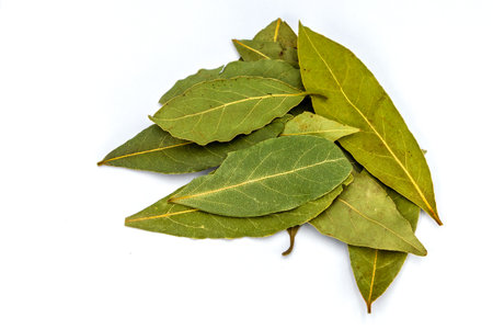 A collection of dry bay leaves, showcasing their natural texture and color, commonly used to add aroma and flavor to various recipes.の写真素材