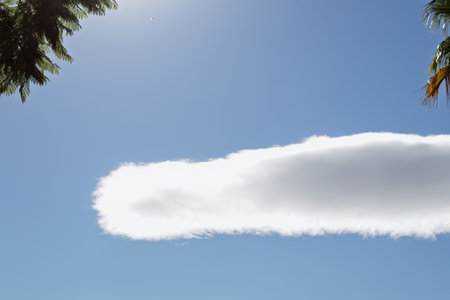 Blue sky on a sunny day with a striking long cloud, framed by green leaves of a tropical tree at the edgeの写真素材