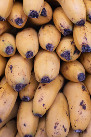 Close-up of ripe yellow bananas showcasing freshness and healthy eating. Textured skins with small brown spotsの写真素材
