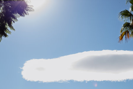 Bright blue sky with a long lenticular cloud arching across and sunbeams filtering through tropical palm leaves, serene summer dayの写真素材