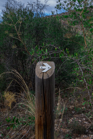 Wooden post with an arrow sign helping hikers find their way on a path through nature, providing important guidanceの写真素材