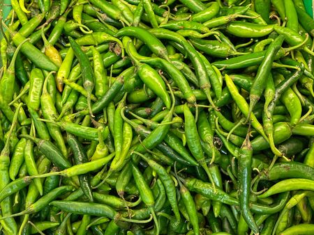 Offered for sale, Indian green pepperの写真素材