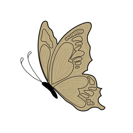Butter fly design illustration flat vector,のイラスト素材