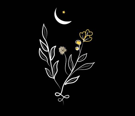 a plant with budding flowerのイラスト素材