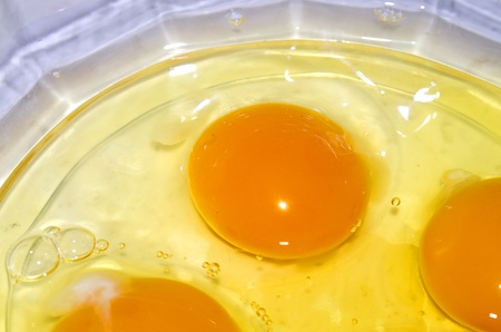 eggsの写真素材