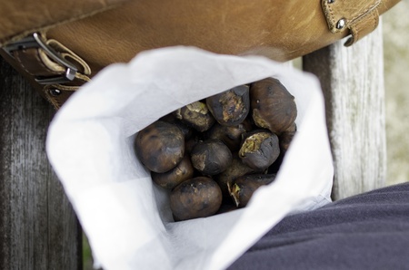 chestnut in a sacket durin a marketの写真素材