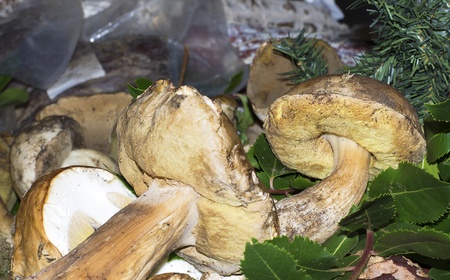 boletus edulis at market in my town 