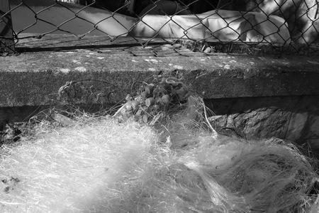 fishing net in a harbour located ib trasimeno lake