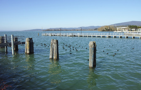 view of trasimeno lake in umbria regionの写真素材