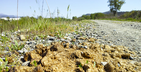 manure in a meadow in la speizaの写真素材