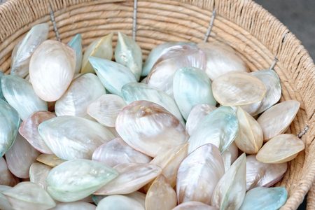 photo of a decorative shell at marketの写真素材