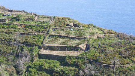 scenery of ligurian coast line in summer timeの写真素材