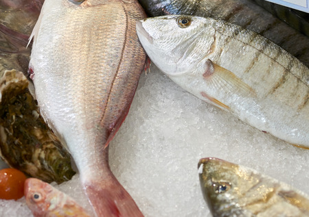 Striped sea bream (Lithognathus mormyrus). Photo taken at the main fish market (a street market) in...