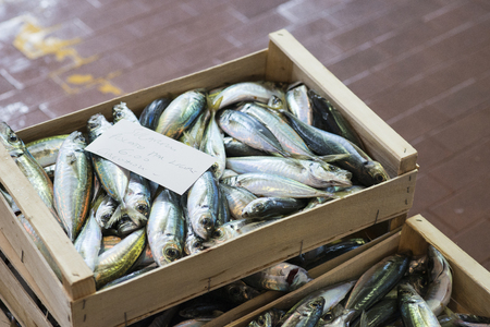 detail of Fresh horse mackerel in a market
