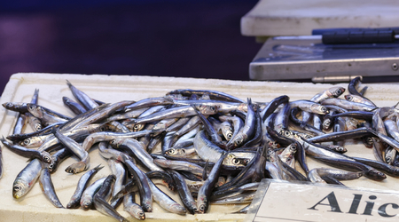 detail of anchovies at marketの写真素材