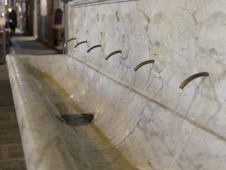 detail of old marble fountain in florenceの写真素材