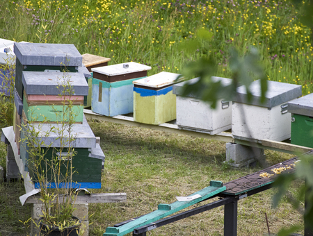 A row of bee hives in a field in italy