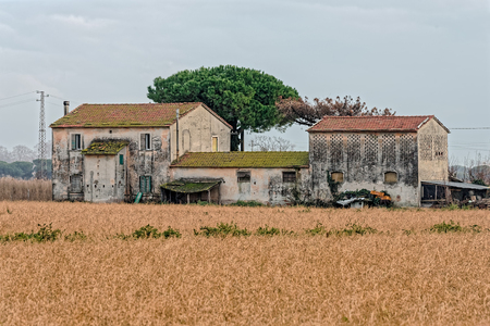 farm in luni a beautiful place near la speziaの写真素材