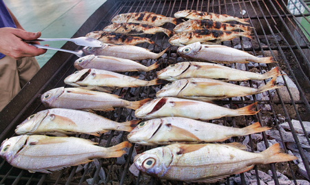 grilled red snapper on a barbeque