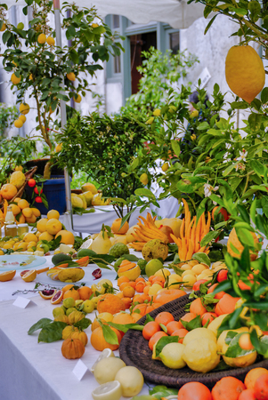 orange at market in franceの写真素材