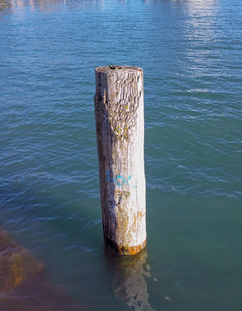 pole of wood in a lake