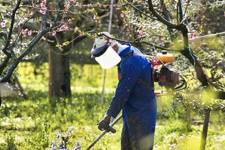 man cutting grass in a garden