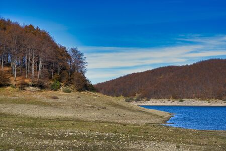 photo of autumn foliage and tree in italian appenninoの写真素材
