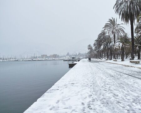 man walking under the snow in la spezia during a snowの写真素材