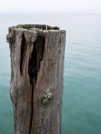 detail of wooden moored structure in a lakeの写真素材