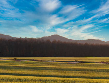Tuscany - Landscape panorama, hills and meadow, Toscana - Italyの写真素材