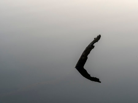 bozzi saudini a little lake in Sarzana near La Speziaの写真素材