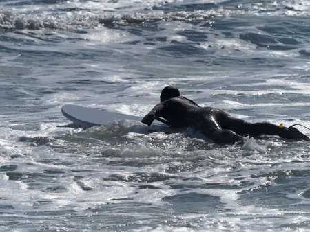 Paddleboarder walking inside ocean carrying paddleboardの写真素材