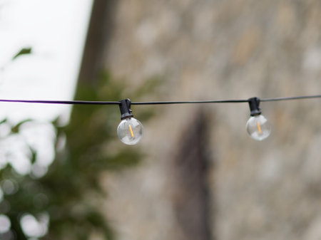 outdoor party string lights hanging in backyard on green bokeh background with copy space