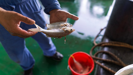 fishing in Nouakchott anchorage area from a ship