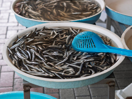 Detail of anchovies at market in Italy, Naples