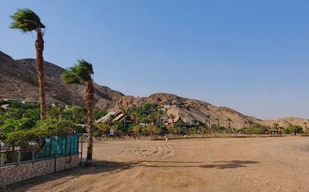 Eilat, Israel, August 13, 2017.Eilat is located on the shores of the Red Sea.A great place for...