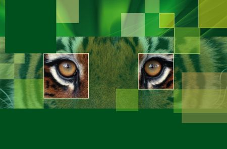 Tigerの写真素材