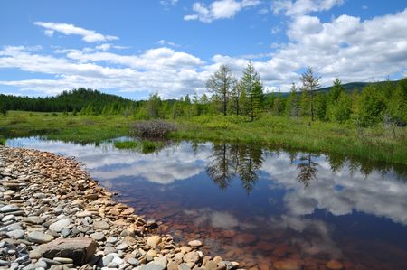 Small Forest Lakeの写真素材