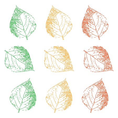 Leaves and foliage. Leaf set.の写真素材