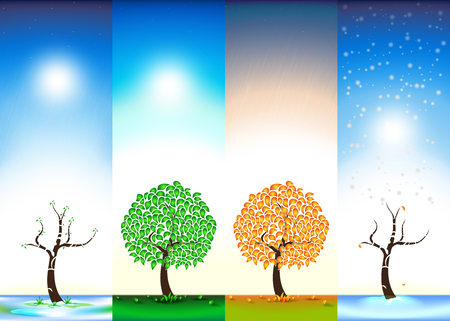 Four seasons. Spring. Summer. Autumn. Winter. Bloom. Foliage. Rain. Snow. Vector illustration.のイラスト素材