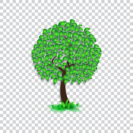 Isolated summer tree, dense foliage, flat style. Vector imageのイラスト素材