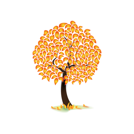 Isolated on white background autumn tree, dense foliage, flat style, imageの写真素材