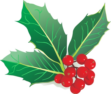 christmas mistletoeのイラスト素材