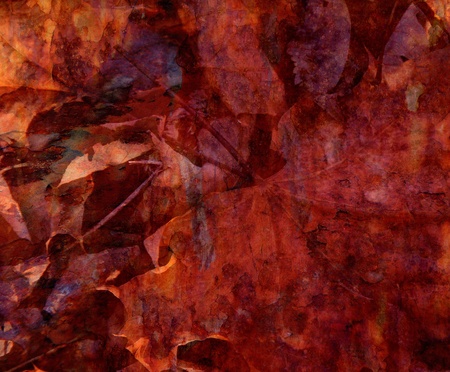 autumn backgroundの写真素材